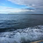 kaleb bridges - @kaleb.bridges - Instagram