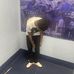 Kaleb Brown - Facebook
