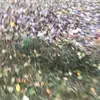Kaleb brown - @ib2500904 - TikTok