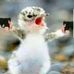 Kaleb Brown - Facebook