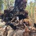 Caleb Browning - Facebook