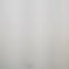 kalebgamerruiz006 - @kalebbucks - TikTok