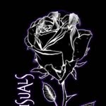 Kaleb Burr - @darkrosevisuals - Instagram