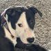 Kaleb Burr - Facebook