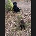 Kaleb Burrows New - Facebook