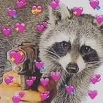 kaleb calhoun - @trashpanda783 - Instagram