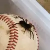 Kaleb Calhoun - @kaleb.calhoun2 - TikTok