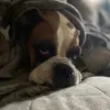 Kaleb Calhoun - @kaleb.calhoun38 - TikTok