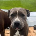 Kaleb Cameron - Facebook