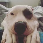 Kaleb Campbell - @kalebc.6996 - Instagram