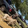 Kaleb Campbell - @kalebcampbell6969696 - TikTok