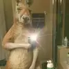 Kaleb Campos - @kaleb.campos59 - TikTok