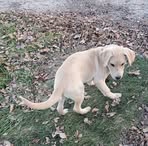 Kaleb Carney - Facebook