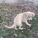 Kaleb Carney - @carney.04 - Instagram