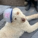 kaleb carpenter - @kalebcarpenter5082019 - Instagram