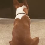 kaleb carpenter - @kleo_is_awesome - Instagram