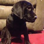 @kalebcarpenter04 - Instagram
