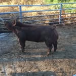 Kaleb Carr - @kaleb_carr02 - Instagram