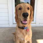 Kaleb Carr - @kaleb_carr14 - Instagram