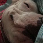 Kaleb Carr - @kaleebc - Instagram