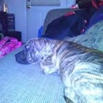 Kaleb Castleberry - @kaleb.castleberry - Instagram