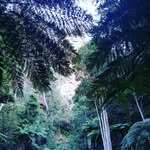 Kaleb Cherry - @kaleb_cherry_03 - Instagram