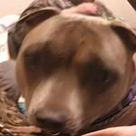 kaleb cherry - @cherry69_420 - Instagram