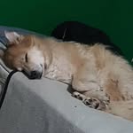 Kaleb - @kalebcherryy - Instagram