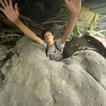 Kaleb chester - @kaleb16068 - Instagram