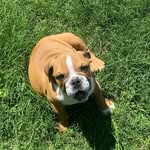 Kaleb Cochran - @kaleb.coch - Instagram