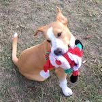 Kaleb Cochran - @pmlofficalpage - Instagram