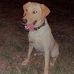 Kaleb Cochran - Facebook