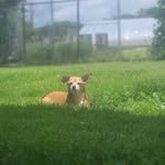 kaleb conley - @kaleb___0607 - Instagram