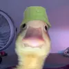 Kaleb Cortez 5 - @kalebcortez5678 - TikTok