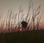 Kaleb Cox - Facebook