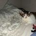 Caleb Crabtree - Facebook