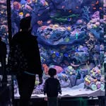 Kaleb Crane - @kayluhb_ - Instagram
