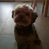 kalebcrane636 - @kaleb_crane636 - TikTok