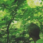 @kalebcrane - Instagram