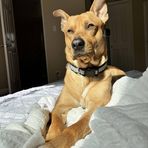 Kaleb Cummings - Facebook