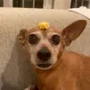 Kaleb Cummings - @kaleb22202 - TikTok