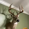 dadthank6 - @kaleb_dalton - TikTok