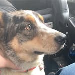 Kaleb Dalton - @kalebdalton21 - Instagram