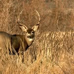 kalebdalton - @kaleb__dalton - Instagram