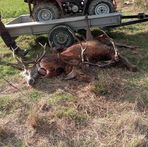 Kaleb Davies - Facebook