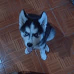 Caleb Davila - Facebook