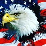 Kaleb Decker - @redneakfreedom - Instagram