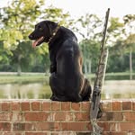 Kaleb Dickerson - @kaleb.dickerson_ - Instagram