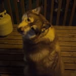 Kaleb Dickison - @_kalebdickison_ - Instagram