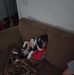 Kaleb Dickson - Facebook